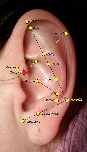 144. Bartholonitis, links
