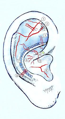 38. Gefzeichnungen und ihre Bedeutung +
